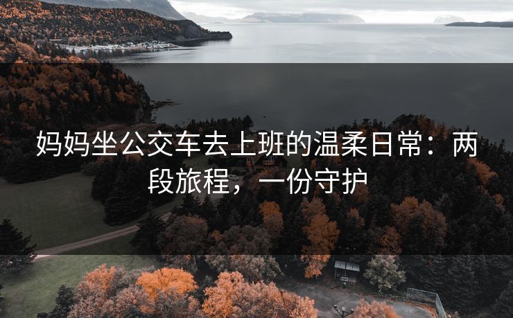 妈妈坐公交车去上班的温柔日常：两段旅程，一份守护